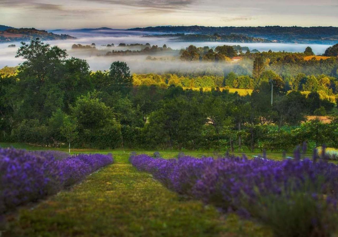 Lavanda Carasova Crasova Extérieur photo